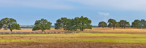 Picosa Ranch Landscapes